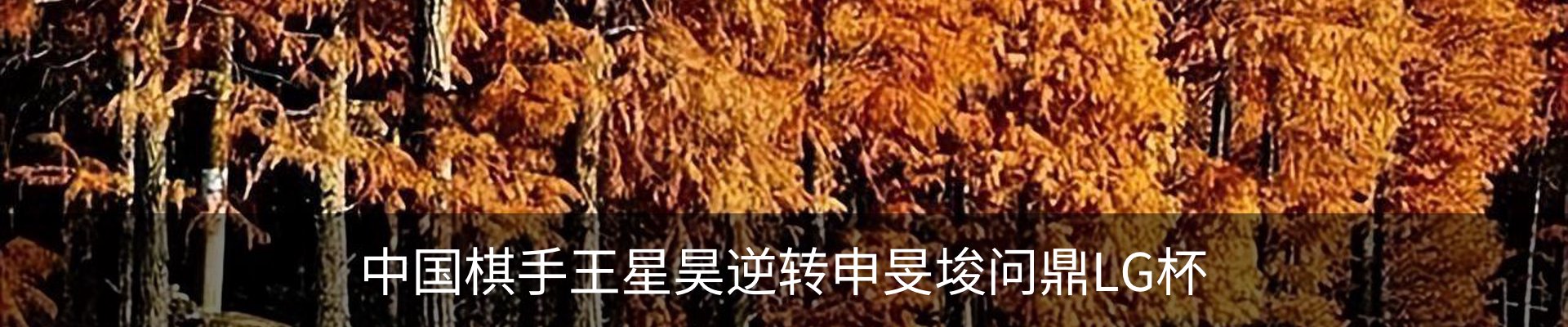 最新动态