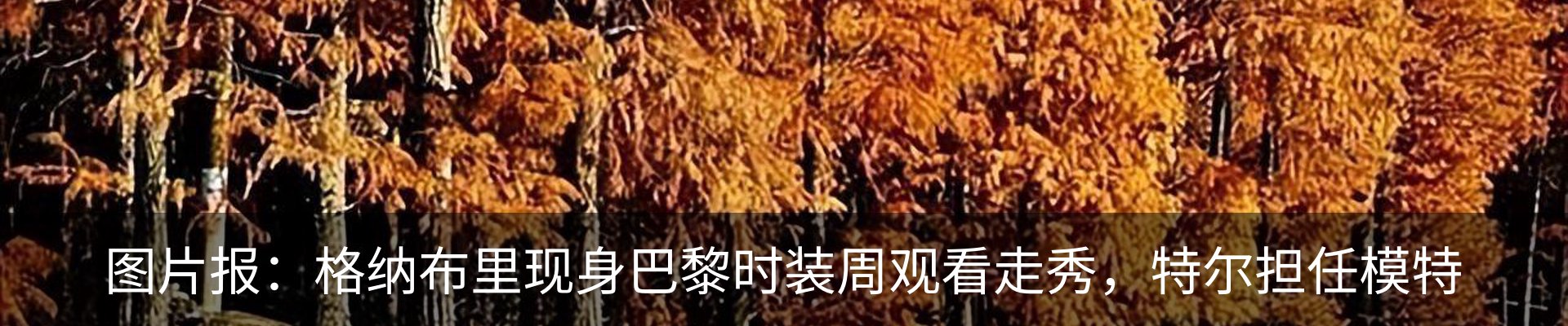 最新动态