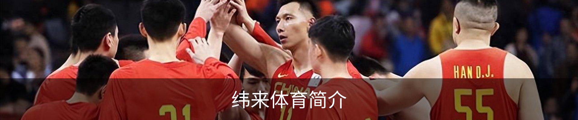 纬来体育简介