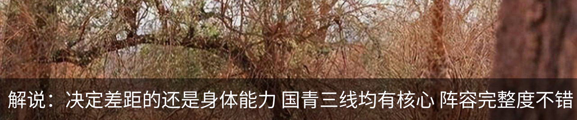 最新动态
