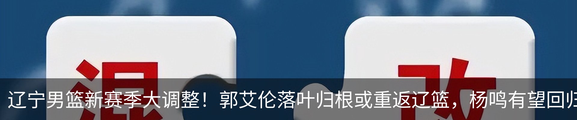 最新动态
